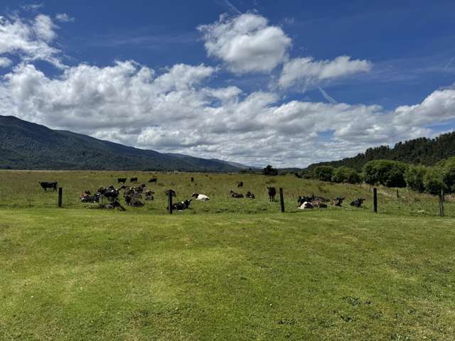 410 Maimai Road Reefton_1