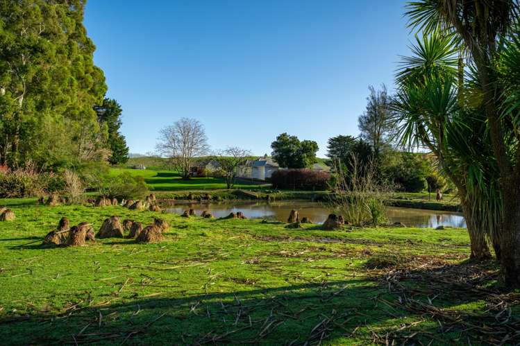 463 Dog Kennel Road Waimate_25