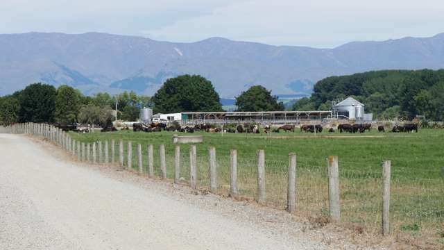 Exceptional Dairy Farm Opportunity - Maze Pastures