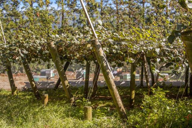 168 Henry Road Katikati_1