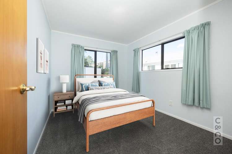 46 Potter Road Dairy Flat_43