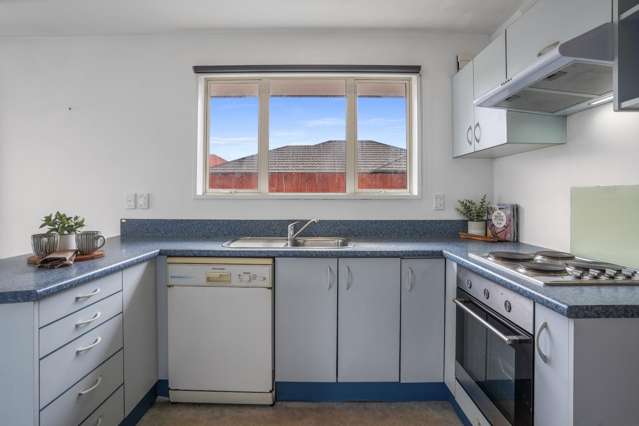 17 Broadbent Street Riccarton_1