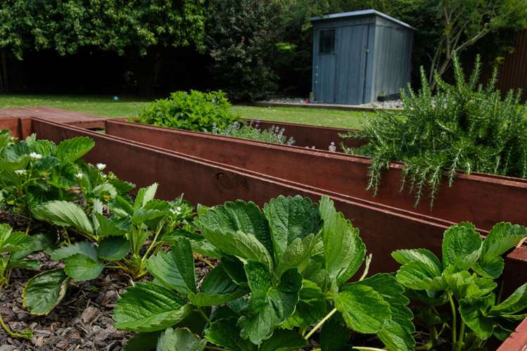 9 Rentons Road Mosgiel_15