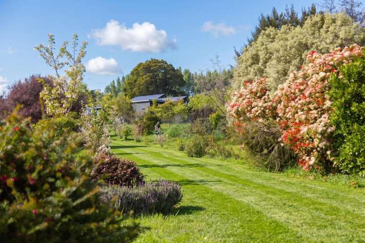 38B Taranaki Street Masterton_12