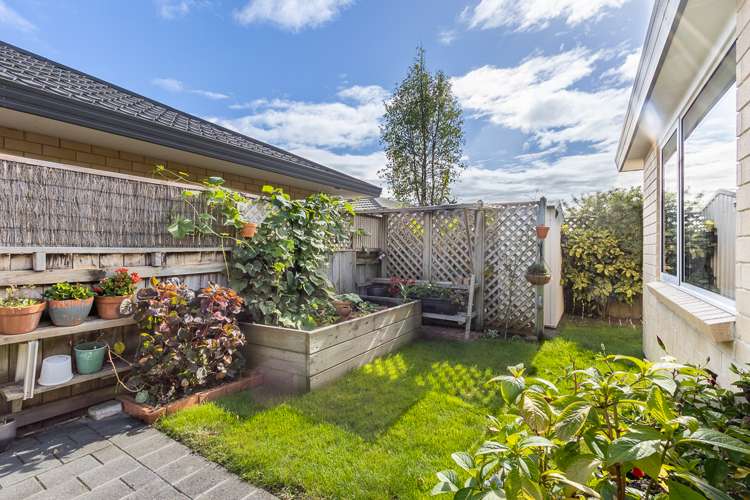 3a Hemi Street Waikanae_15