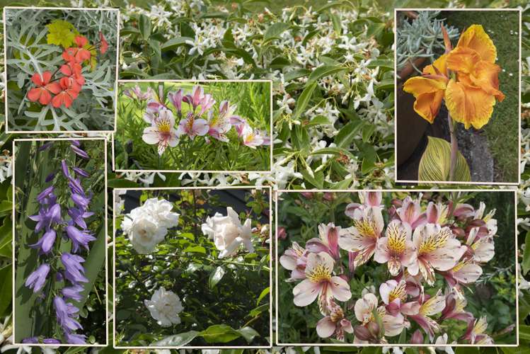 38 Harley Close Hauraki_19