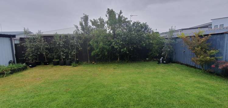 3/38 Leander Street 11229_15