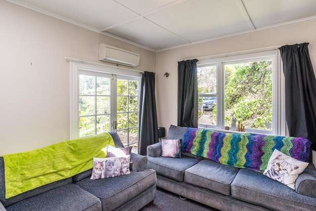 17 Irvine Street Aro Valley_3