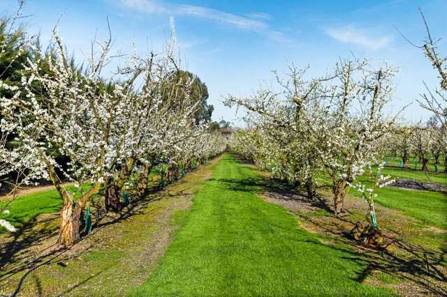 934 Riverslea Road South Longlands_1