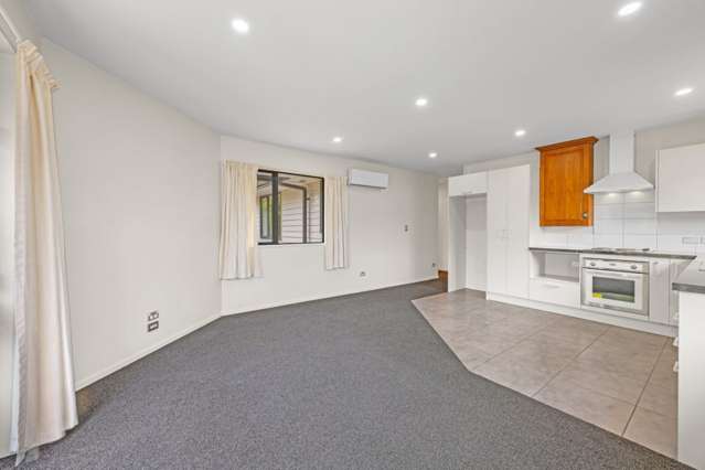 1/1 Cameron Street Sydenham_3