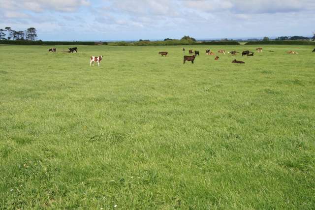 939 Auroa Road Auroa_4