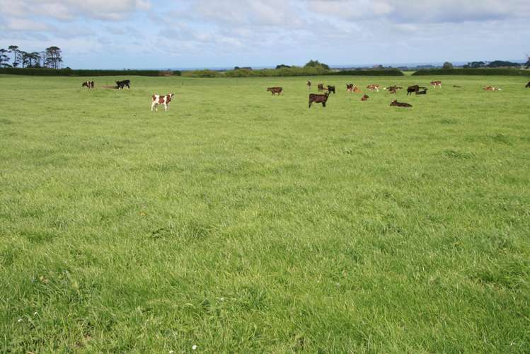 939 Auroa Road Auroa_4