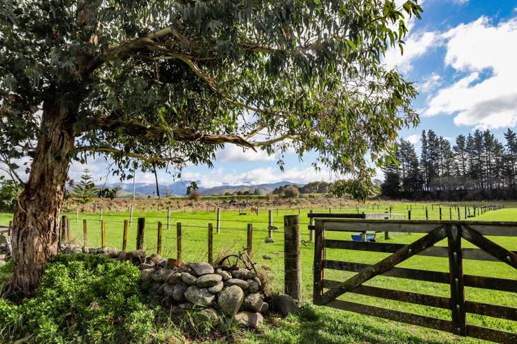 1188 State Highway 2 Mikimiki_14