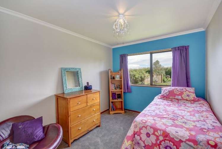 209 Green Island Bush Road Waldronville_9
