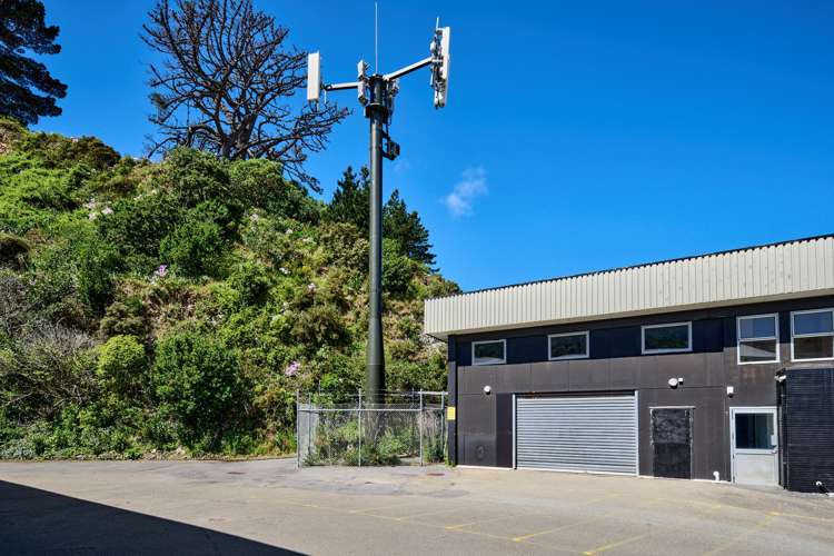34 Kaiwharawhara Road Kaiwharawhara_18