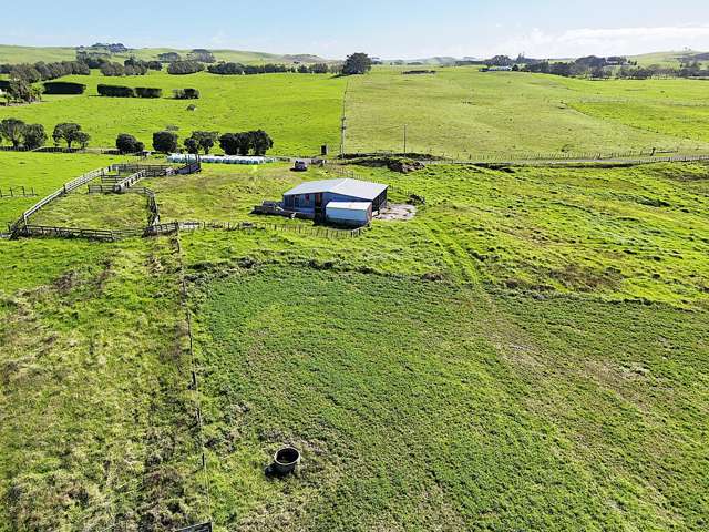 413A Baylys Coast Road Dargaville_3