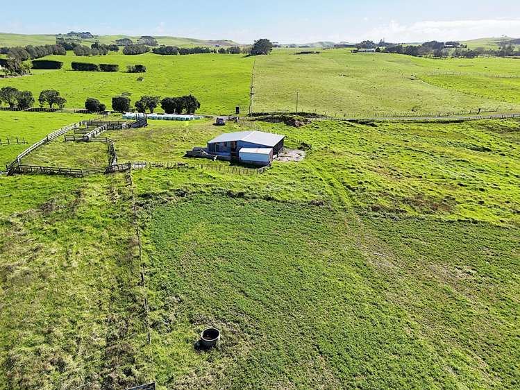 413A Baylys Coast Road Dargaville_3