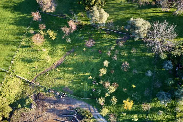 55 Ayton Street Mangapapa_7