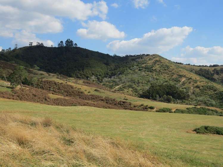 314 Martin Road Waerenga_11