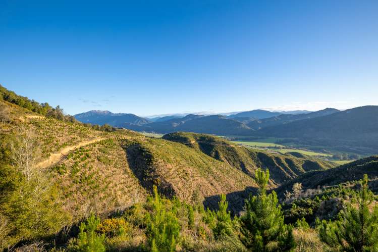 Matakitaki Road Murchison_17