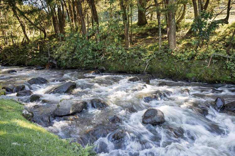 78 River Drive Kerikeri_32