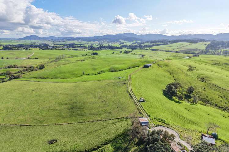Garbolino and Tara Road Mangawhai_8