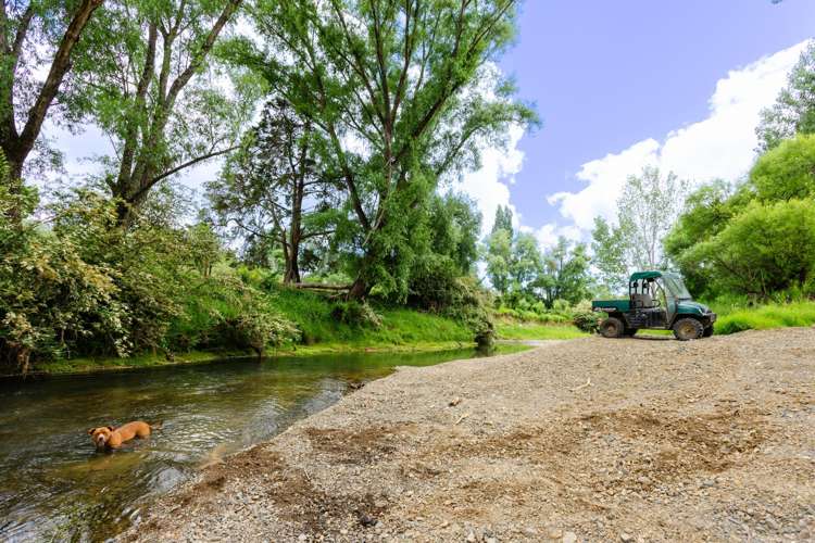 48 Doel Road Kawakawa_29