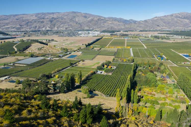 284 Ripponvale Road Cromwell_1