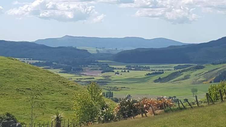 207 Forest Road Oruanui_16