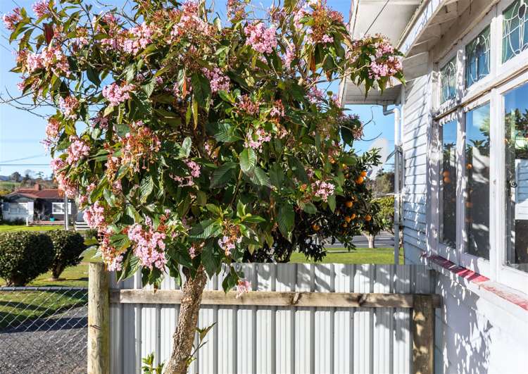 97 Hakanoa Street Huntly_16