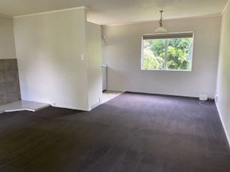 14A Ohaupo Road 1071_2