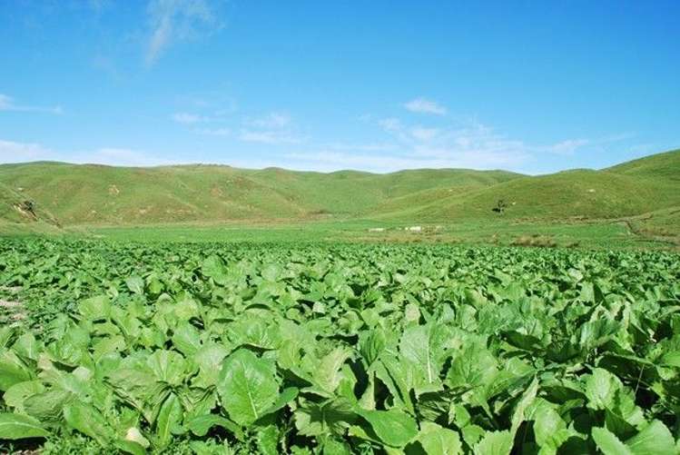 321 Boom Rock Road Ohariu_10