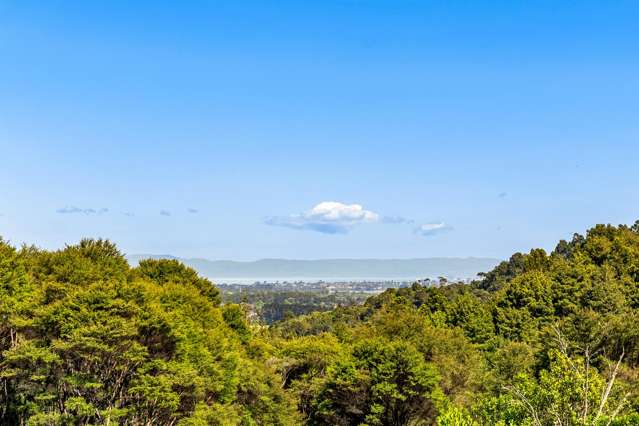 78 Judge Richardson Drive Drury_4