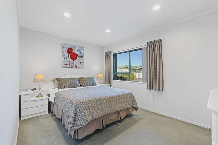153A Carrington Street Vogeltown_17