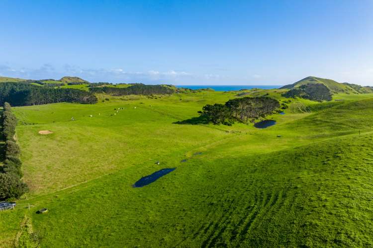 386 Rehutai Road Dargaville Surrounds_6