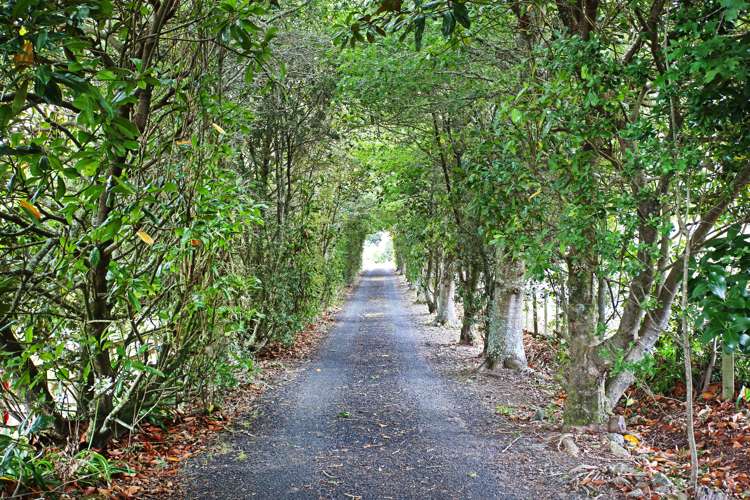 22b Stone Road Bombay_3