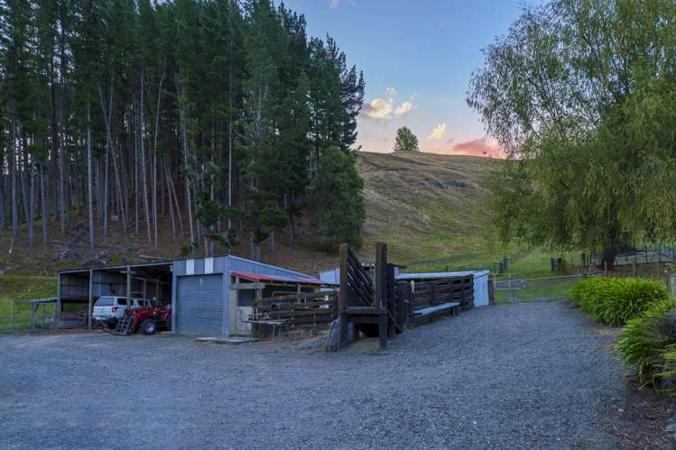 391 Apley Road Puketapu_7
