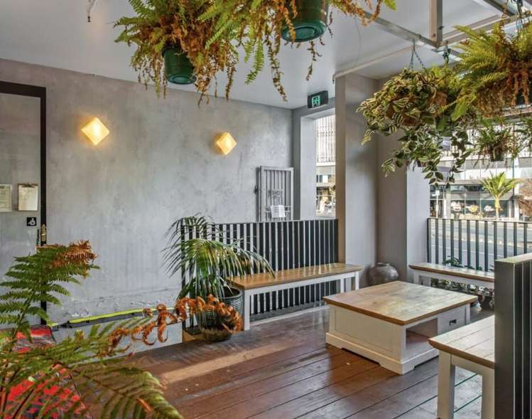 5 Rose Road Grey Lynn_2