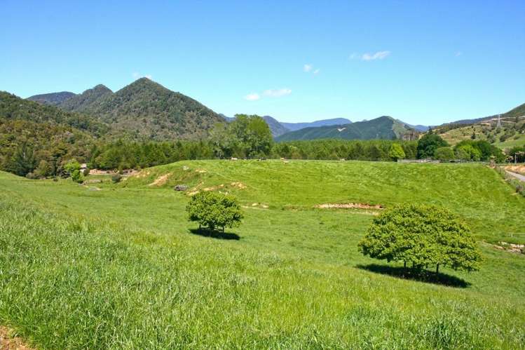 77 Maungatapu Road Rai Valley_15