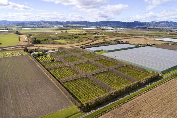 64 Cemetery Road Patutahi_5