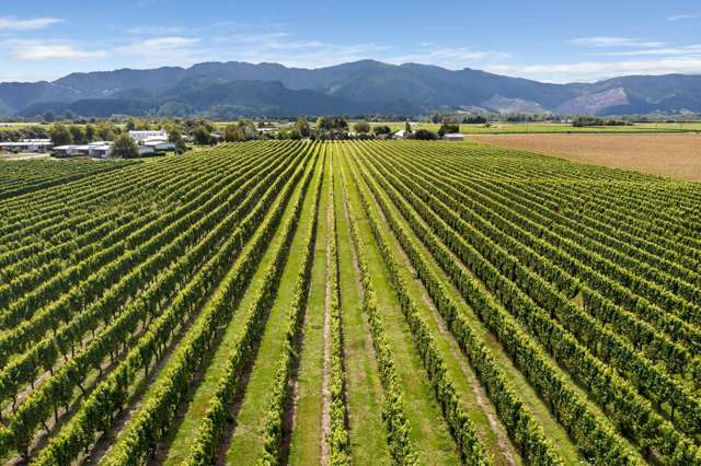 196 Rapaura Road Rapaura_4