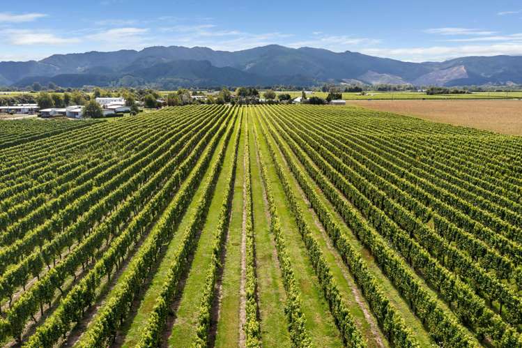 196 Rapaura Road Rapaura_4