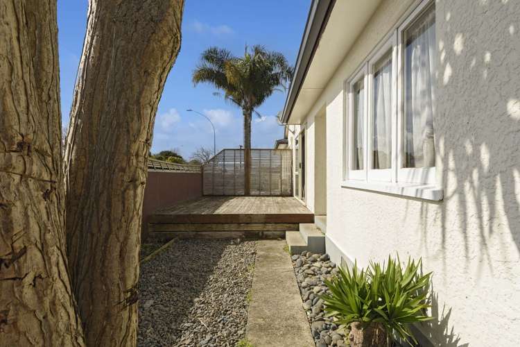 164b Dp Fifteenth Avenue Tauranga South_11