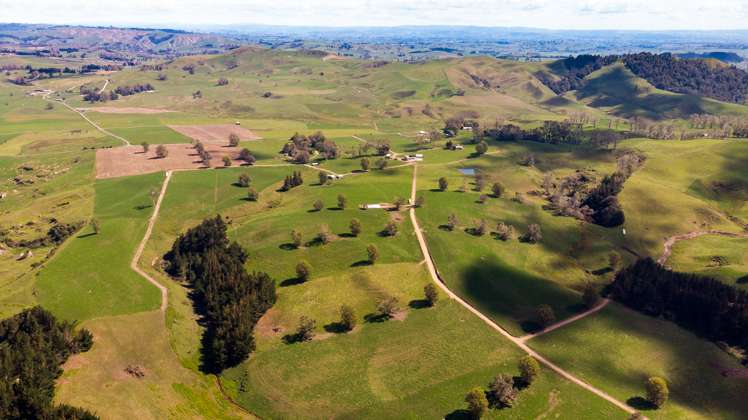 120 Pamotumotu Road Maihiihi_31