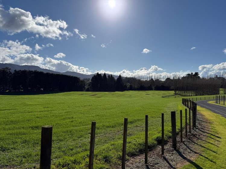 58 Rawaka Drive Katikati_11