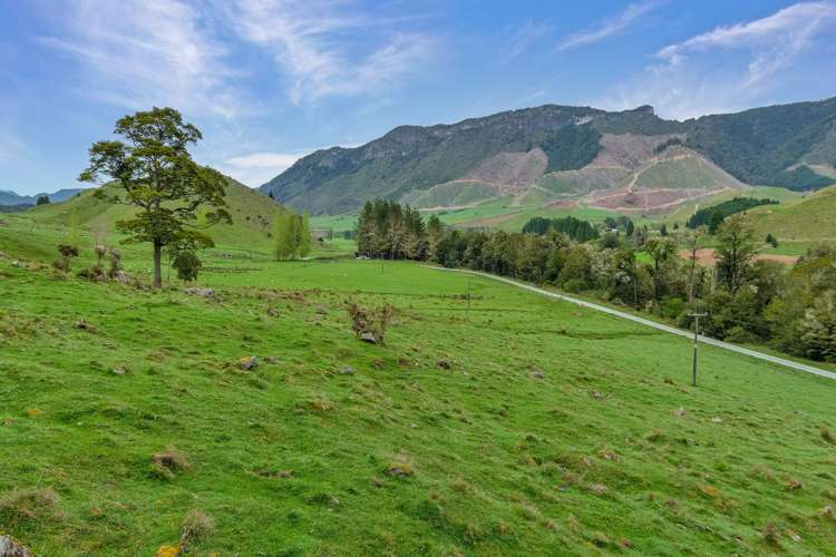 Owen Valley East Road Tasman_15