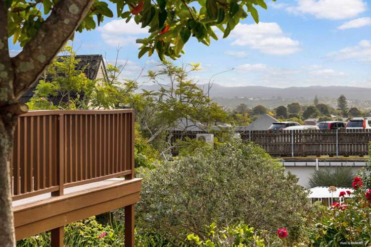 1/1b Henry Street Avondale_8