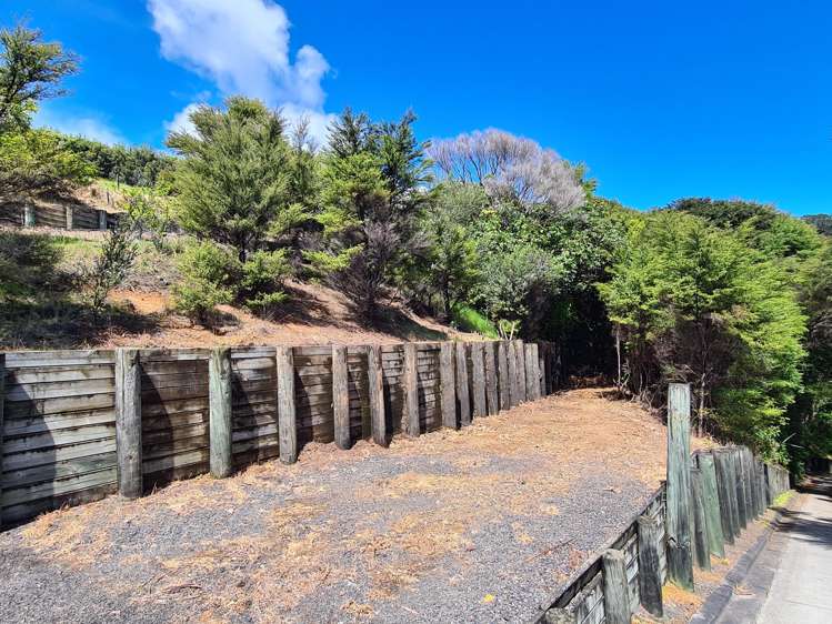 96 Kowhai Drive Coromandel_13