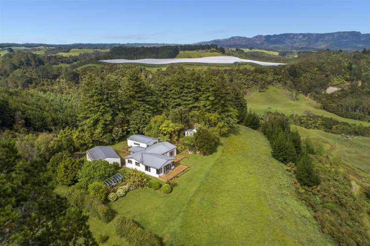222 Wainui South Road Whakamarama_5