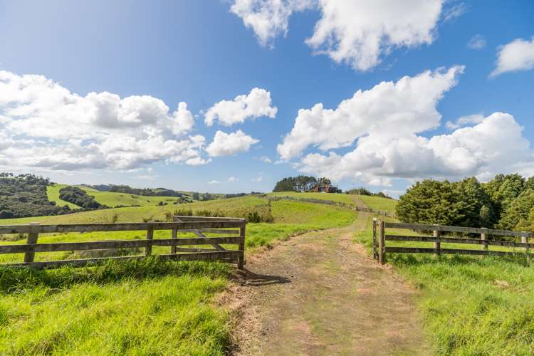 405 Mangawhai Road Wellsford_10